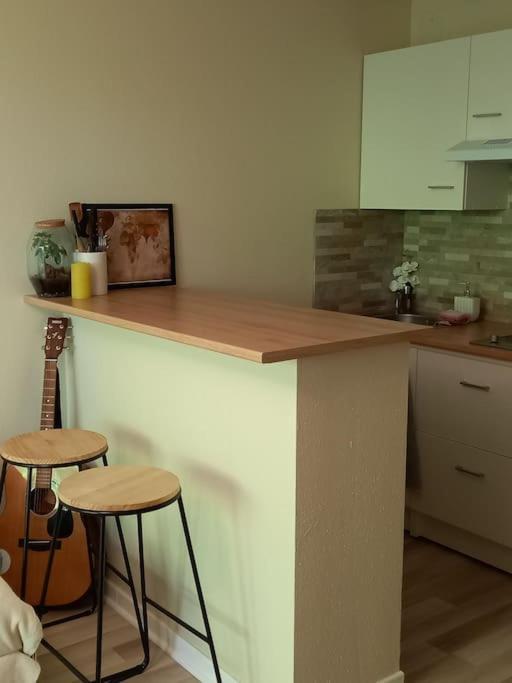 Le Doubs Cosy Apartment Besancon