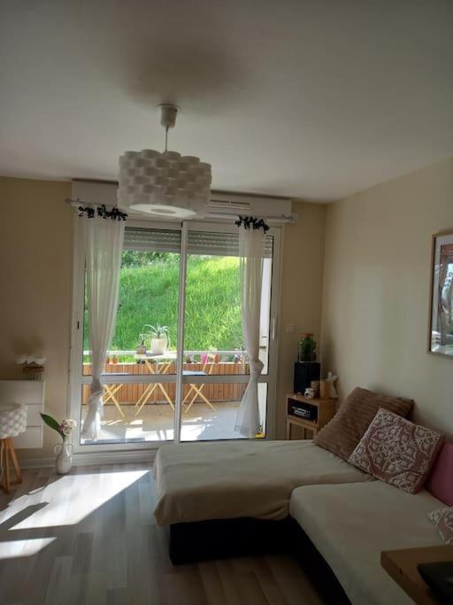 Le Doubs Cosy * Besancon