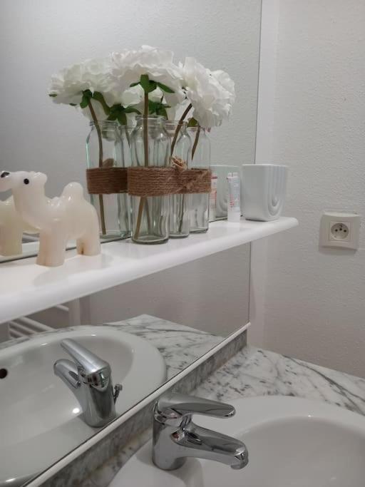Le Doubs Cosy Besancon