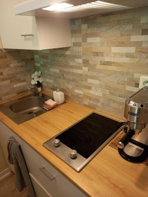 Apartment Le Doubs Cosy